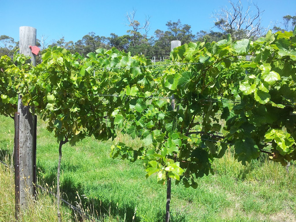 Parallax Organic Vineyard | 436 Shark Point Rd, Penna TAS 7171, Australia | Phone: 0427 873 839