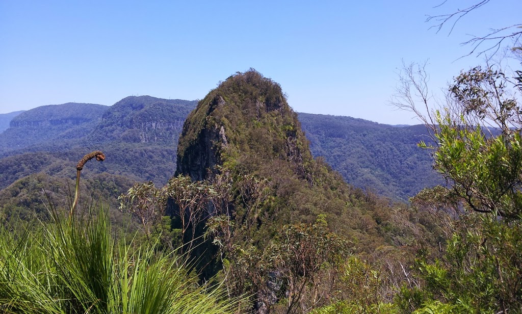 Mount Cougal | park | Currumbin Creek Rd, Currumbin Valley QLD 4223, Australia | 137468 OR +61 137468