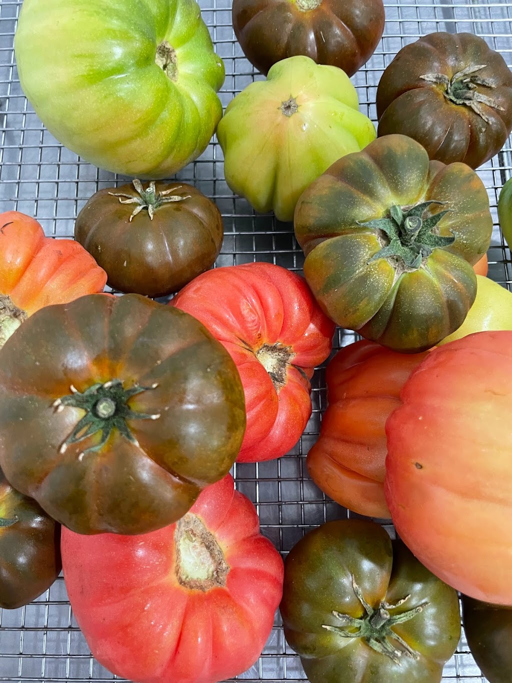 Fratelli Roma | 305 High St, Maitland NSW 2320, Australia | Phone: (02) 4933 9989