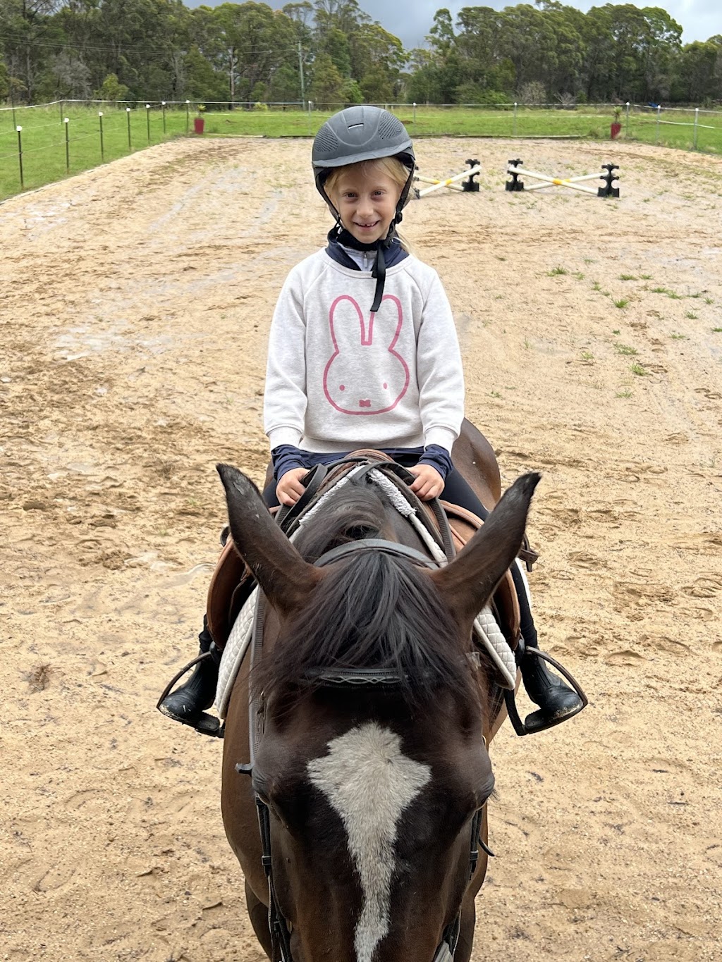 Sydney Hills Equestrian | 3254 Old Northern Rd, Glenorie NSW 2157, Australia | Phone: 0488 210 548
