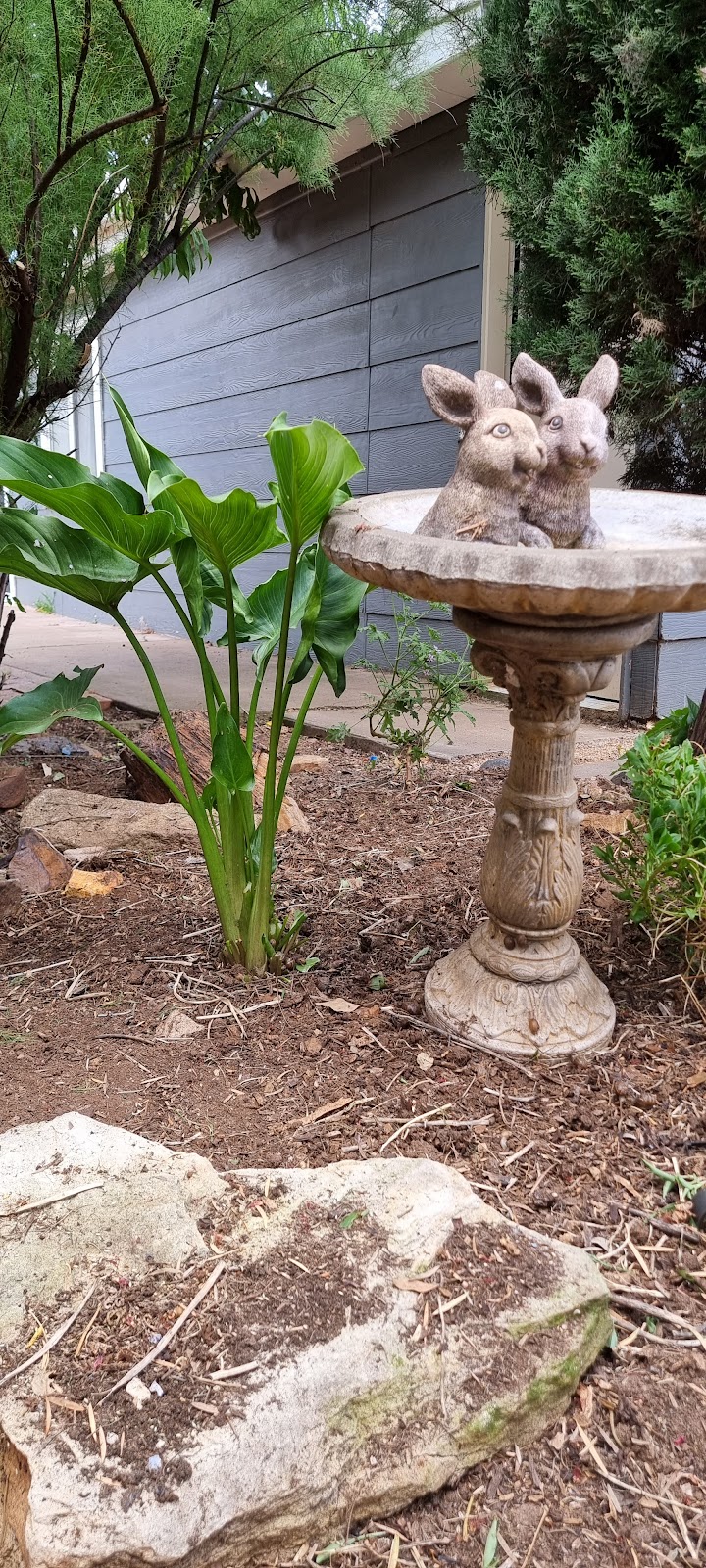 Panjab Lawn Care | 22a Biara St, Bargo NSW 2574, Australia | Phone: 0403 798 905