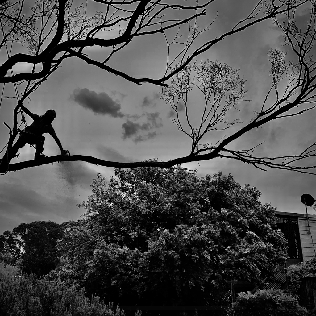 Cutting Edge Tree Maintenance | 42 Wakal St, Charlestown NSW 2290, Australia | Phone: (02) 4003 4400
