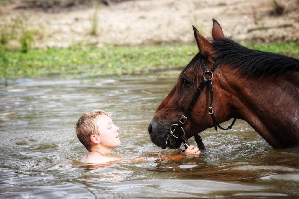 Sky Camp | 940 Camp Creek Rd, Atholwood NSW 2361, Australia | Phone: 0414 355 522