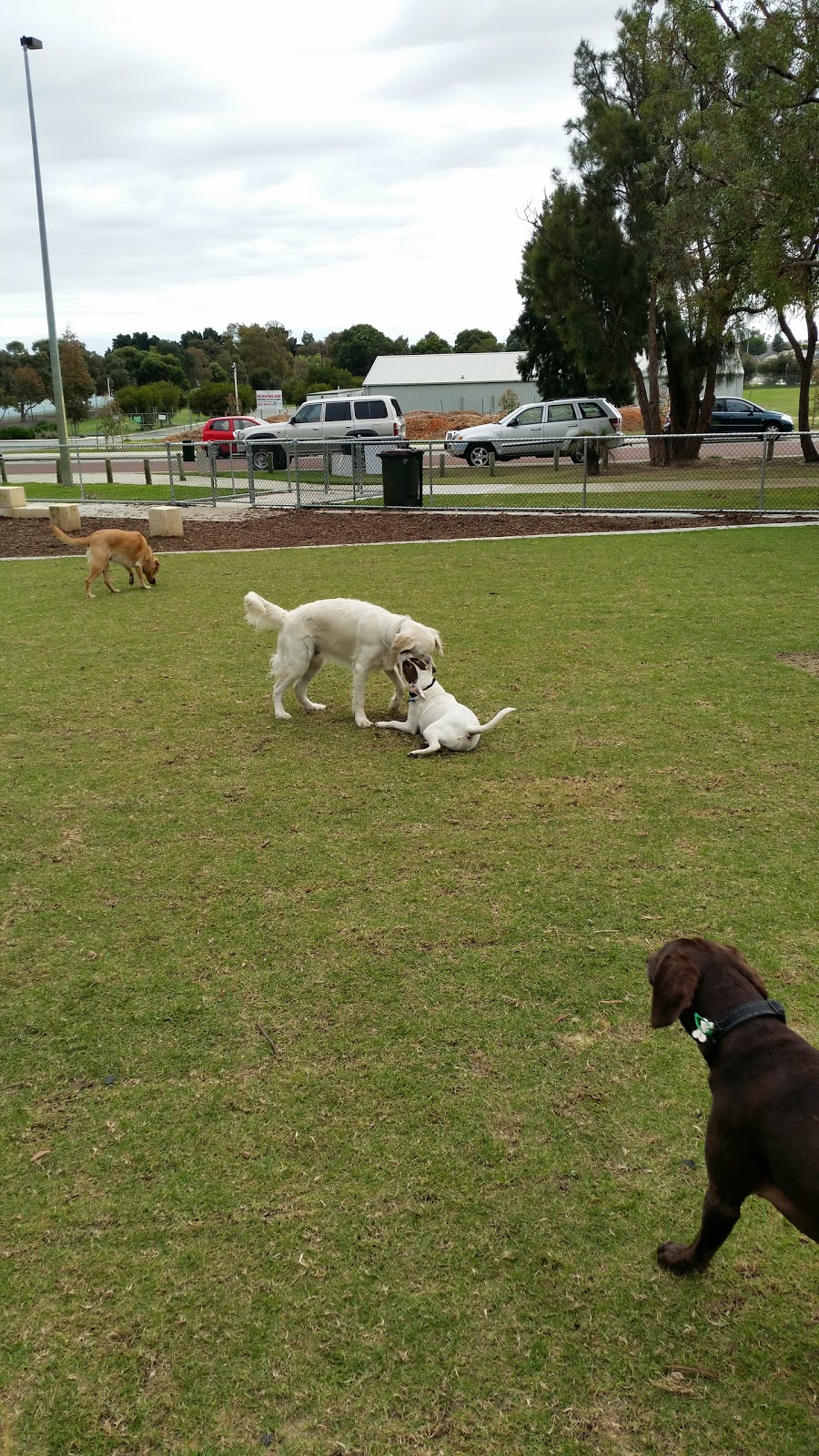 Kingsway Dog Park | park | Madeley WA 6065, Australia