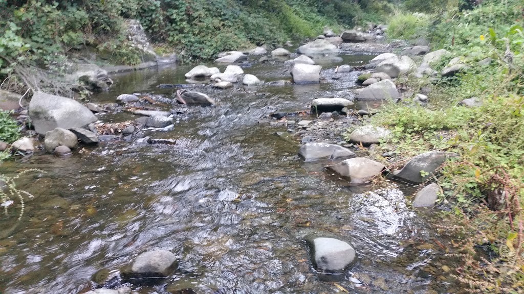 Wild Dog Creek Streamside Reserve | Wild Dog Rd, Apollo Bay VIC 3233, Australia