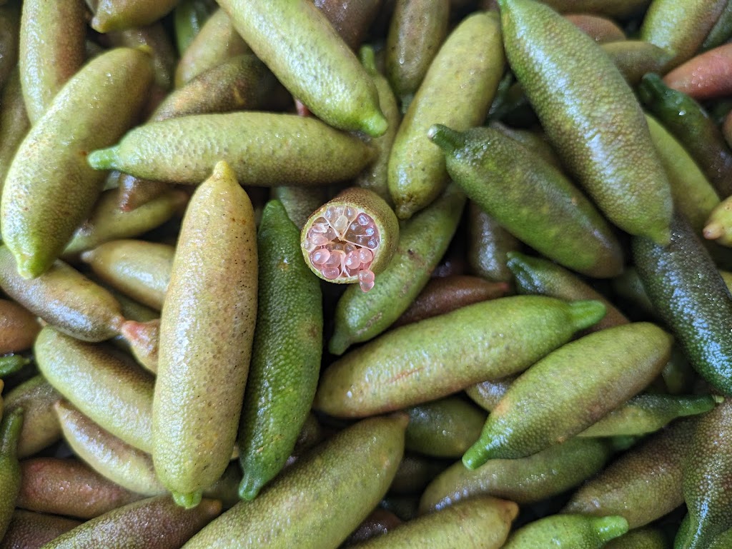 Hinterland Harvest | 9B Noble Rd, Blue Knob NSW 2480, Australia | Phone: 0450 604 357