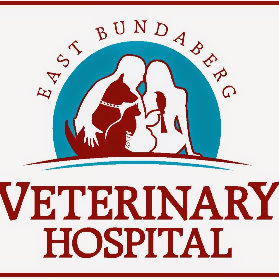 Photo by East Bundaberg Veterinary Hospital. East Bundaberg Veterinary Hospital | veterinary care | 71 Princess St, Bundaberg East QLD 4670, Australia | 0741531399 OR +61 7 4153 1399
