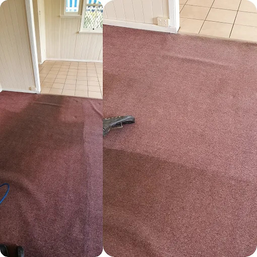 Protection plus+ Couch & carpet deep cleaning | 112 James St, Templestowe VIC 3106, Australia | Phone: (03) 7057 1892