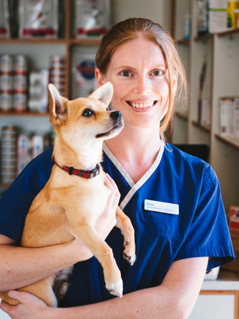 Clontarf Veterinary Practice | veterinary care | shop 7, Bayside Plaza, 9 Elizabeth Ave, Clontarf QLD 4019, Australia | 0732844262 OR +61 7 3284 4262