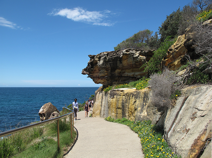 Bondi Beach Aboriginal Rock Art Tours | Biddigal Reserve, Ramsgate Ave, North Bondi NSW 2026, Australia | Phone: 0411 573 870