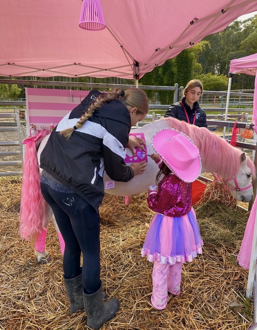 Symphony’ Secret Pony Garden | Toepfers Rd, Wyee NSW 2259, Australia | Phone: 0414 494 930