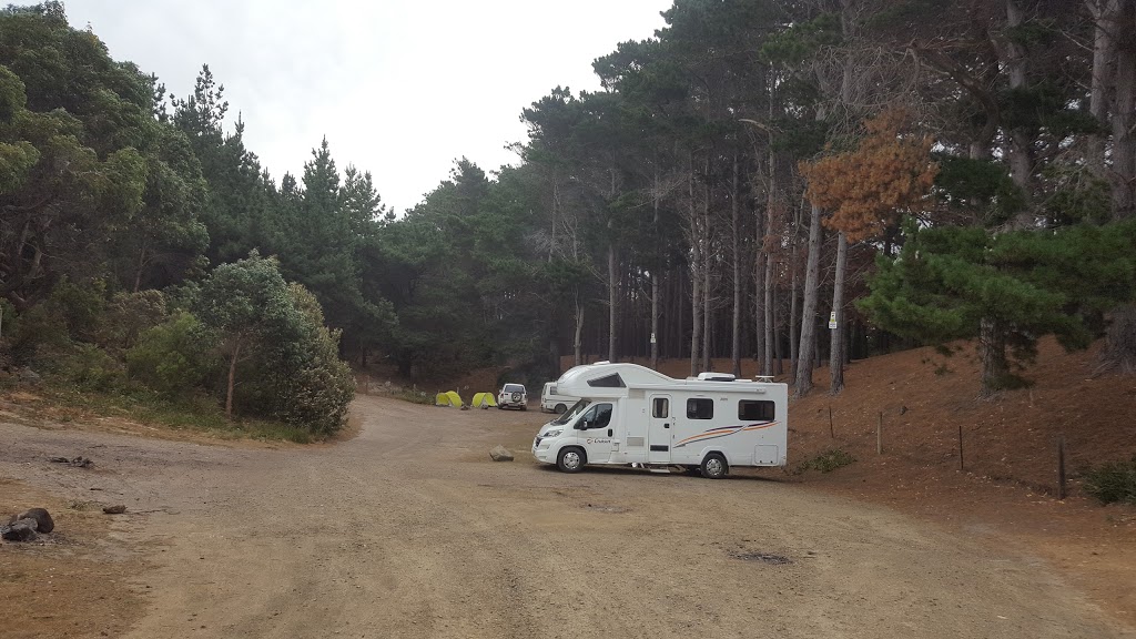 The Pines Campsite | Cloudy Bay Rd, South Bruny TAS 7150, Australia