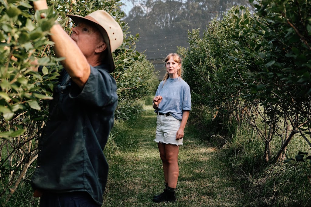 Higgins Creek Farm | 2553 Princes Hwy, Cockwhy NSW 2539, Australia | Phone: 0422 403 501