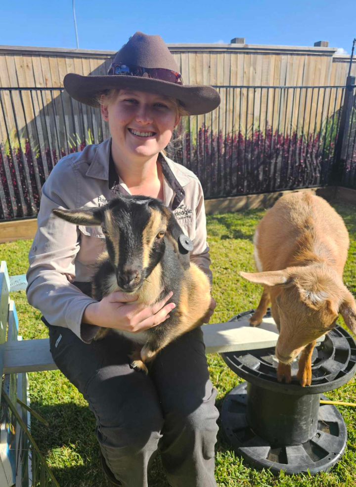 Gleneagle Early Learning | 5 Gould Hill Rd, Gleneagle QLD 4285, Australia | Phone: (07) 3518 3435