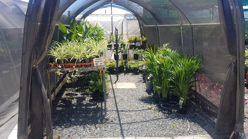 Mandurah Nursery |  | 25 Lymon Rd, Stake Hill WA 6181, Australia | 0407702132 OR +61 407 702 132