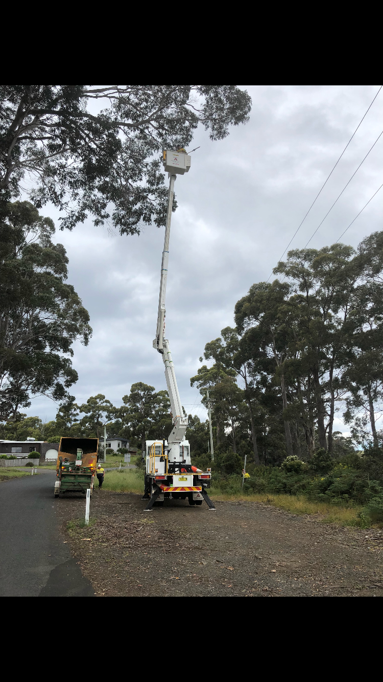 RRR Trees and Excavations | 37 Lachlan Ct, Brighton TAS 7030, Australia | Phone: 0407 291 879