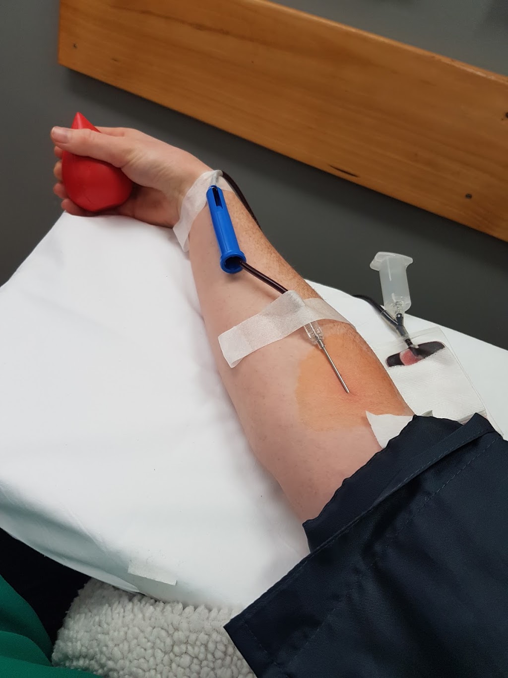 Australian Red Cross Blood Service Albany Donor Centre | health | Warden Ave, Albany WA 6330, Australia | 131495 OR +61 131495