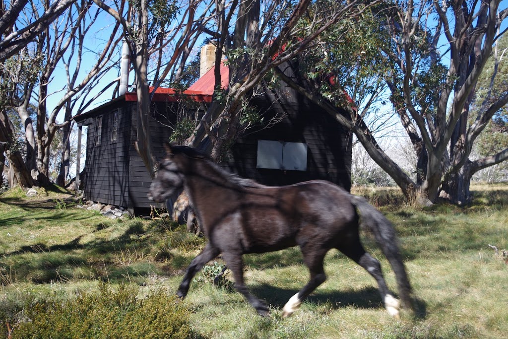 Johnston Hut |  | Nelse VIC 3699, Australia | 131963 OR +61 131963