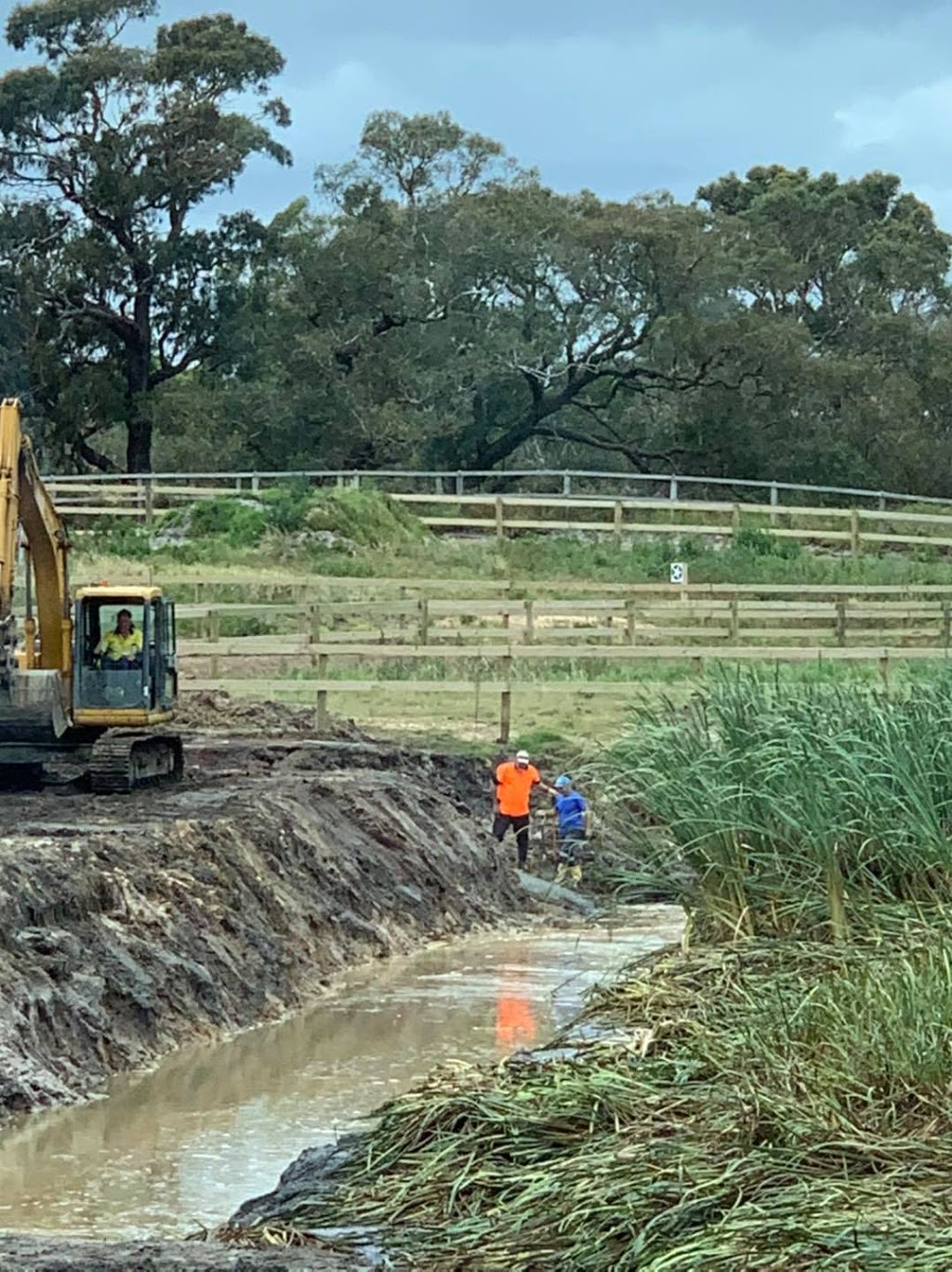 Swept By - Pre Training & Water Walking |  | 1370 Baxter-Tooradin Rd, Cannons Creek VIC 3977, Australia | 0409997134 OR +61 409 997 134