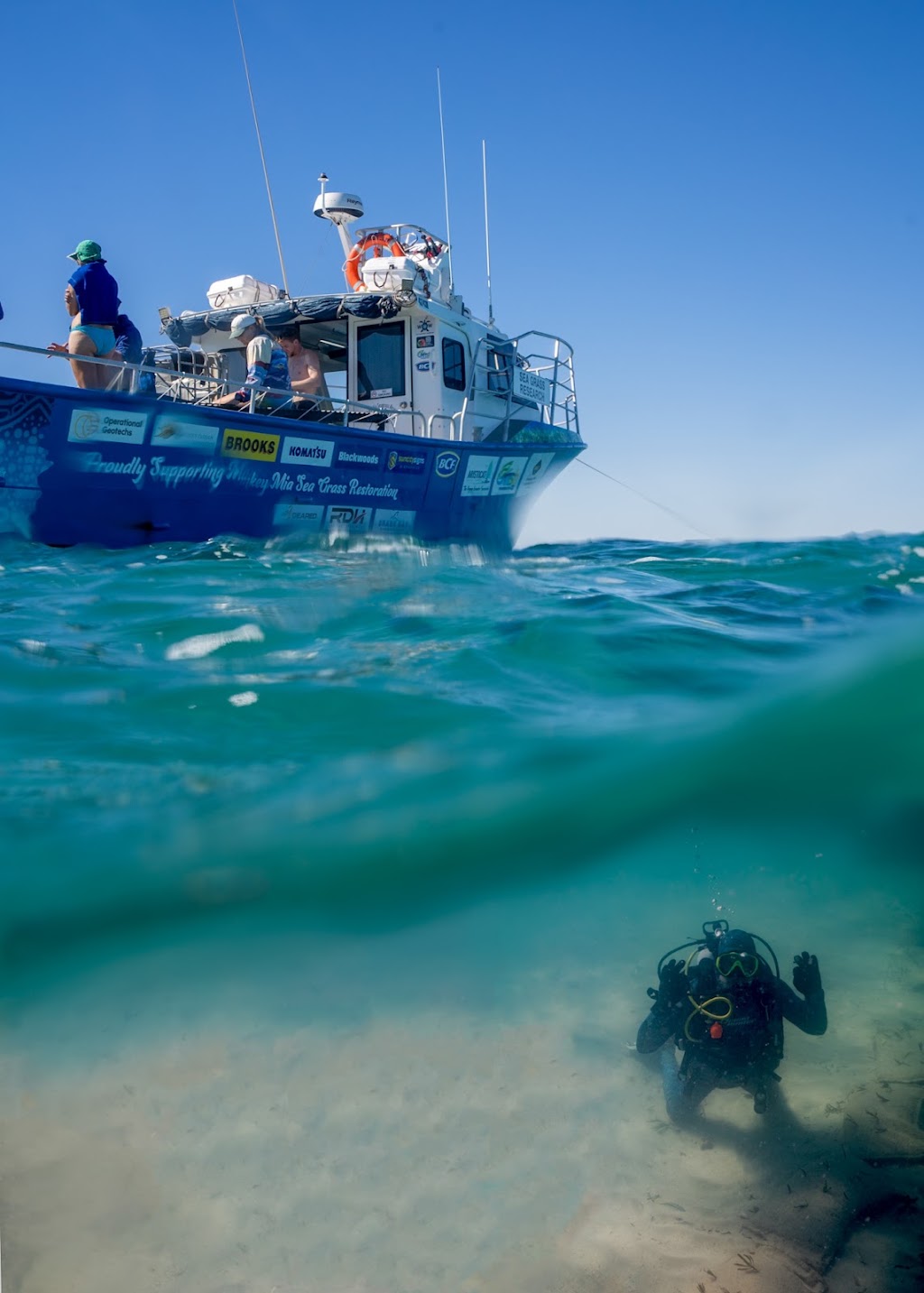 Shark Bay Seagrass Restoration | 1 Monkey Mia Rd, Monkey Mia WA 6537, Australia | Phone: 0428 835 468