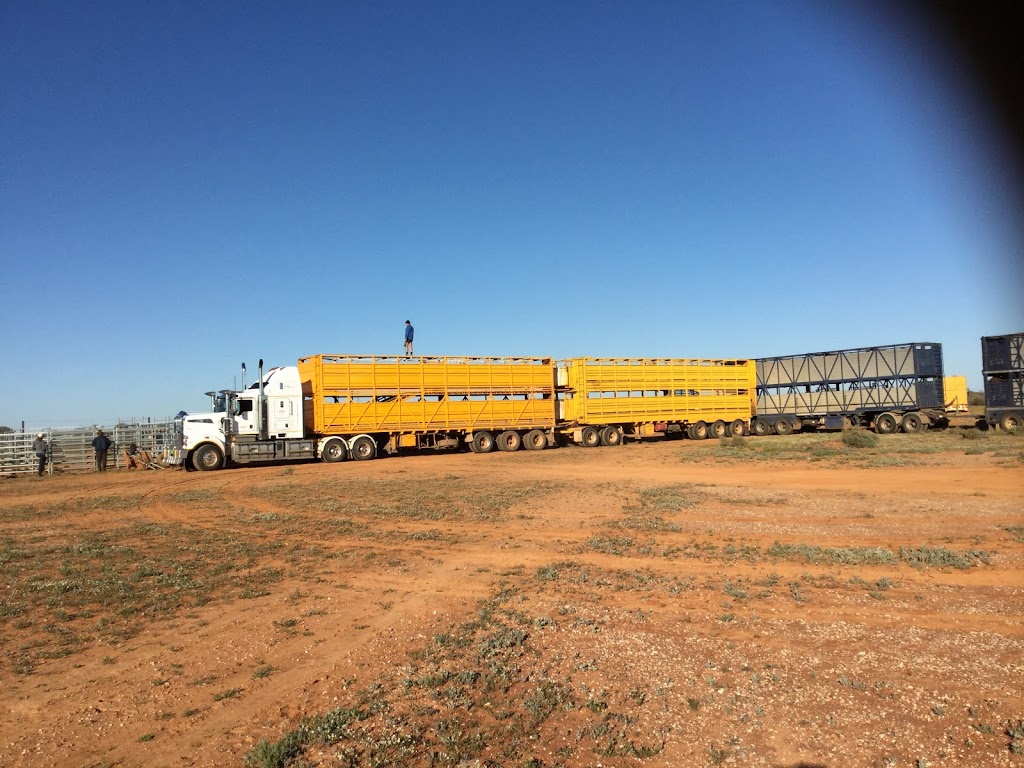 Bruce Dickinson Livestock Transport | 22L Yarrandale Rd, Dubbo NSW 2830, Australia | Phone: (02) 6882 3755