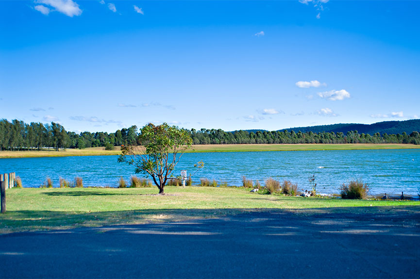 Caddens Meadow | 19 Pandorea St, Claremont Meadows NSW 2747, Australia | Phone: 0449 722 323