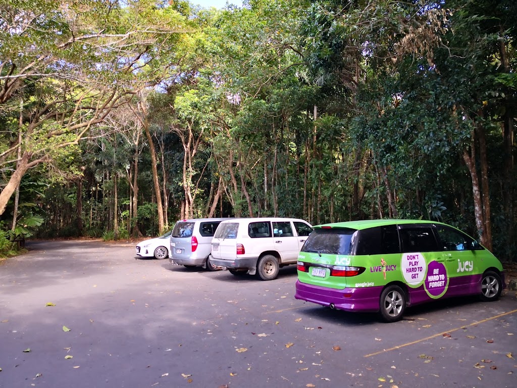 Mount Alexandra Lookout | Cape Tribulation Rd, Kimberley QLD 4873, Australia | Phone: 13 74 68