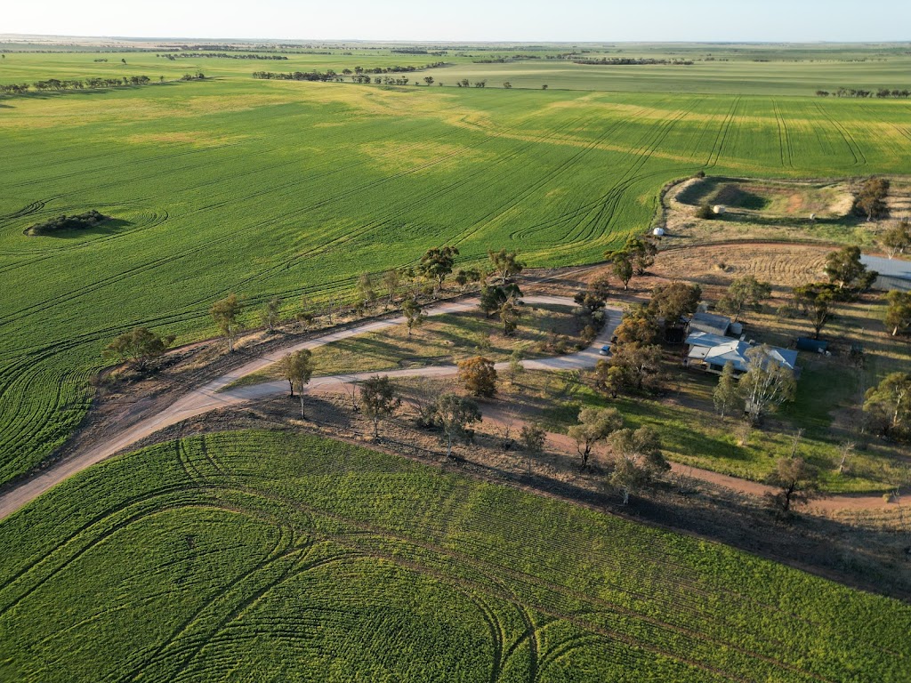 Notting Agri & Contracting | Murray Valley Hwy, Tyntynder VIC 3586, Australia | Phone: 0418 485 438