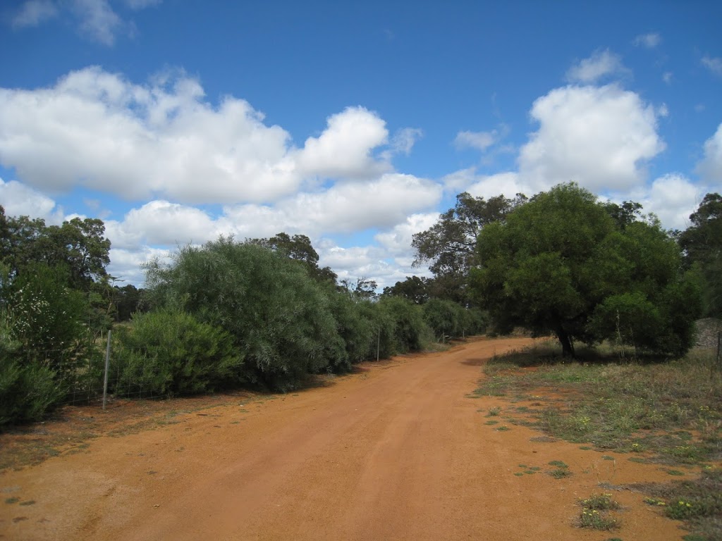 Berry Sweet Strawberry Farm | cafe | 47 Davidson St, Bullsbrook WA 6084, Australia | 0895711077 OR +61 8 9571 1077