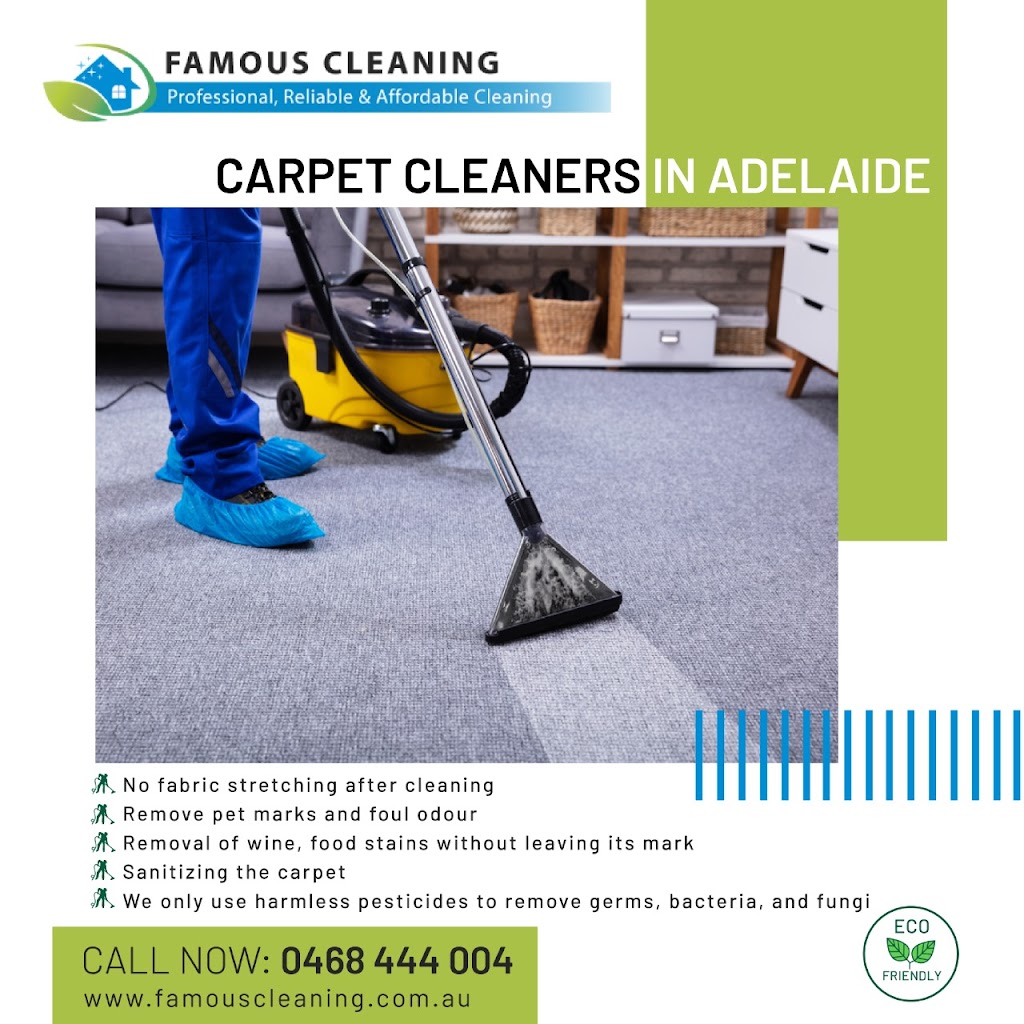 Famous Cleaning | laundry | 4 Redwood Dr, Parafield Gardens SA 5107, Australia | 0468444004 OR +61 468 444 004