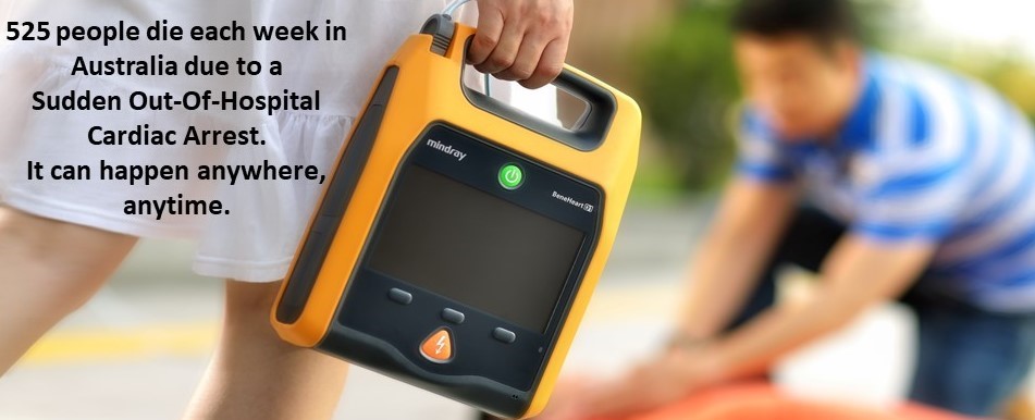 Purple Heart Defibrillators | 52 Ada St, Goulburn NSW 2580, Australia | Phone: 0417 668 305