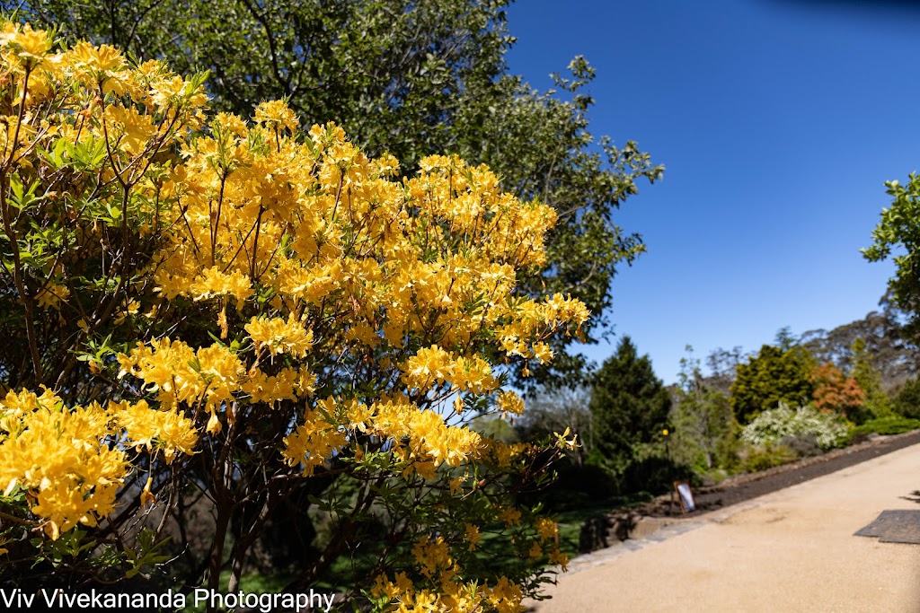 Australian Botanic Garden Mount Annan parkrun | Mount Annan NSW 2567, Australia | Phone: (02) 4631 4200