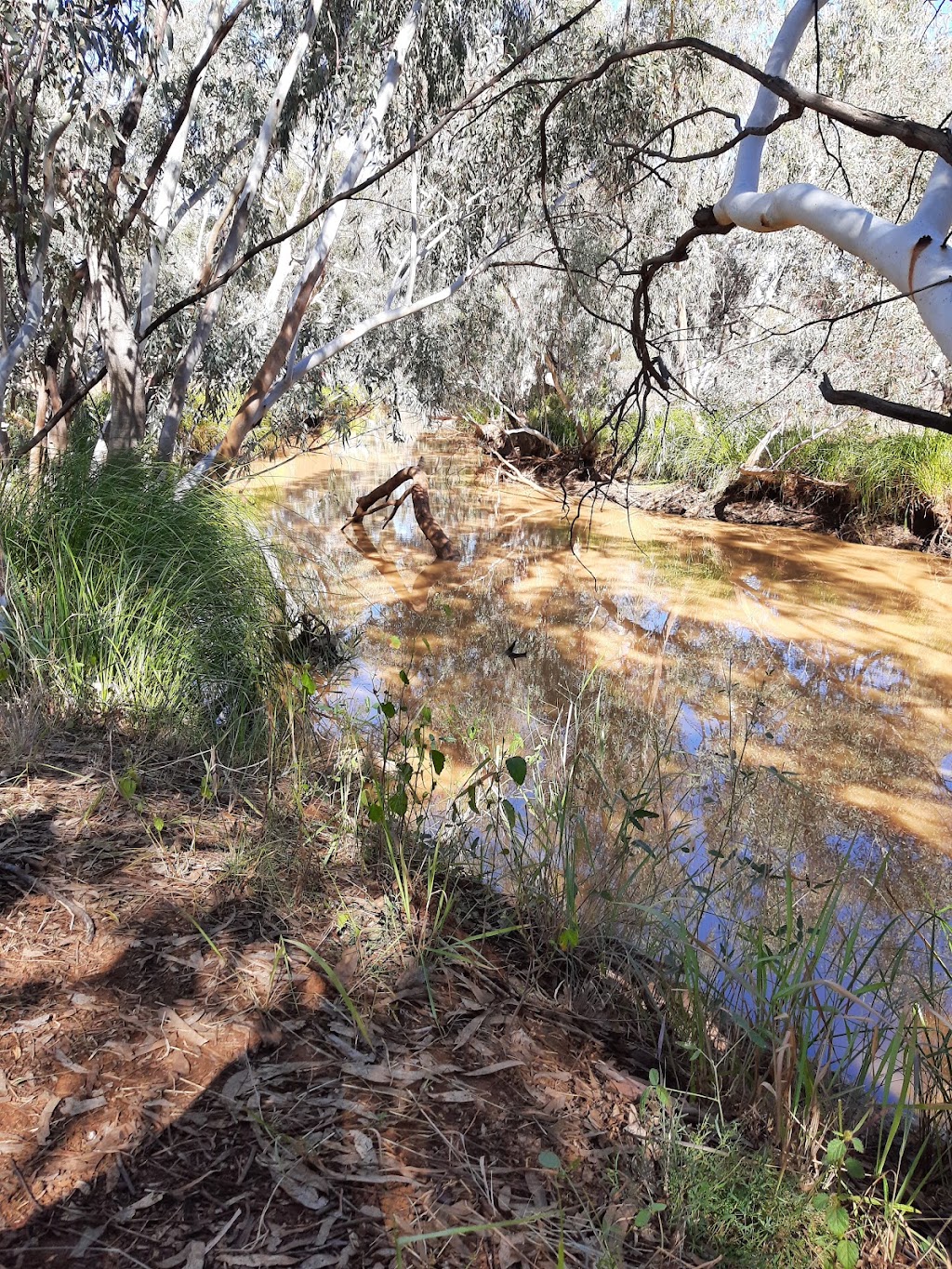 Alroy Camping Grounds | Eulo Toompine Rd, Yowah QLD 4490, Australia | Phone: 0427 992 889