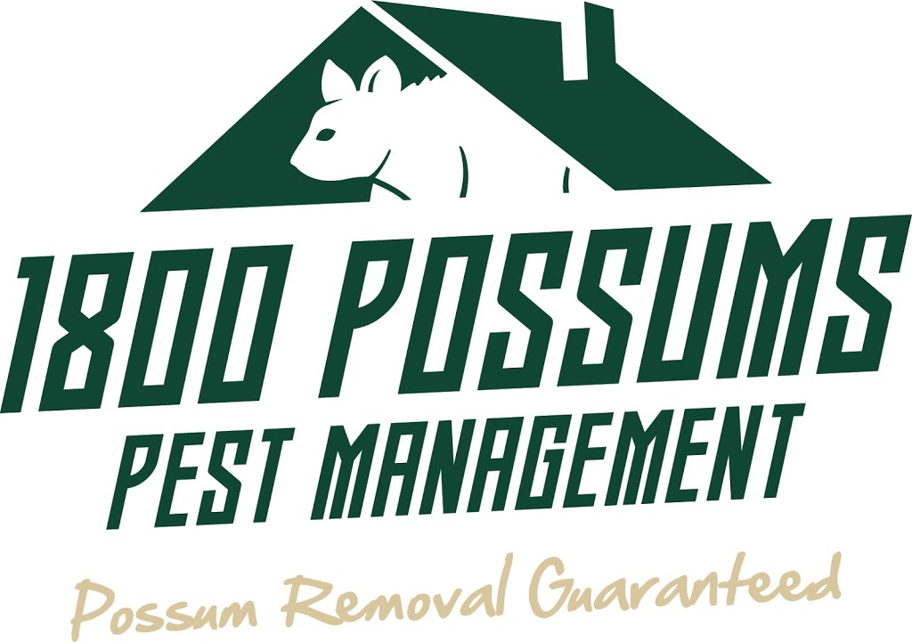 1800POSSUMS - Possum Removal Melbourne | home goods store | 1/311 Carlisle St, Balaclava VIC 3128, Australia | 1800767786 OR +61 1800 767 786