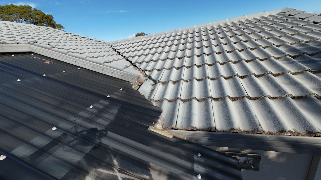 Housefly Building & Pest Inspections | 16 Barrier Reef Dr, Mermaid Waters QLD 4218, Australia | Phone: 0413 770 209
