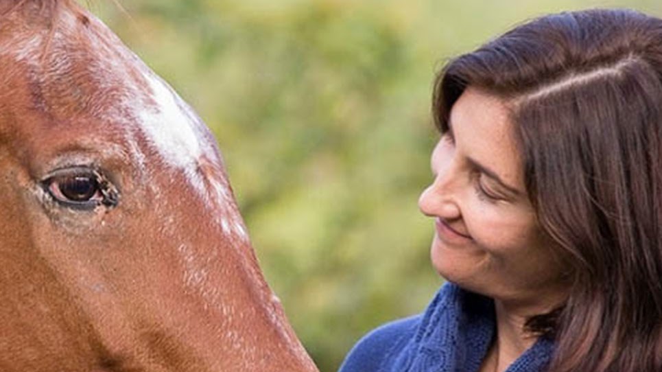 Equine Assisted Therapy Australia Pty Ltd RTO no 41482 |  | 309 Petsch Creek Rd, Tallebudgera Valley QLD 4228, Australia | 0404787162 OR +61 404 787 162