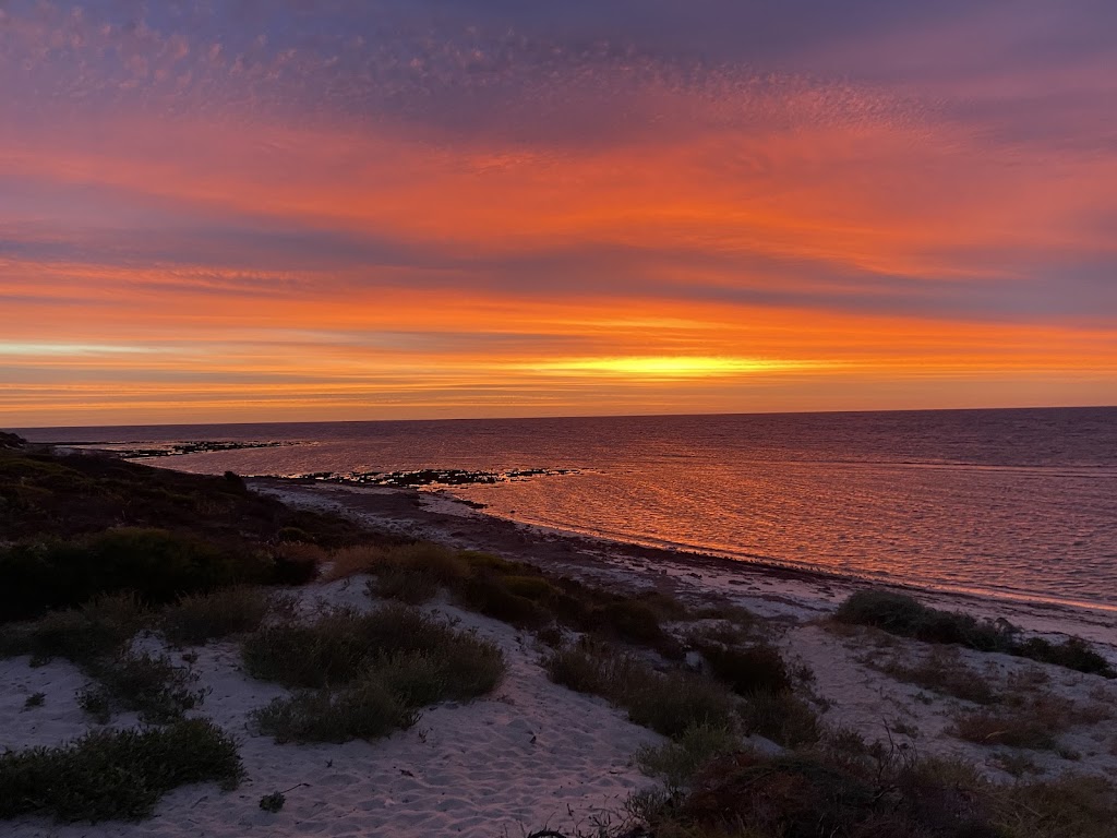 AllRound Tree Services | Whitepatch Esplanard, Bribie Island QLD 4507, Australia | Phone: 0476 377 995