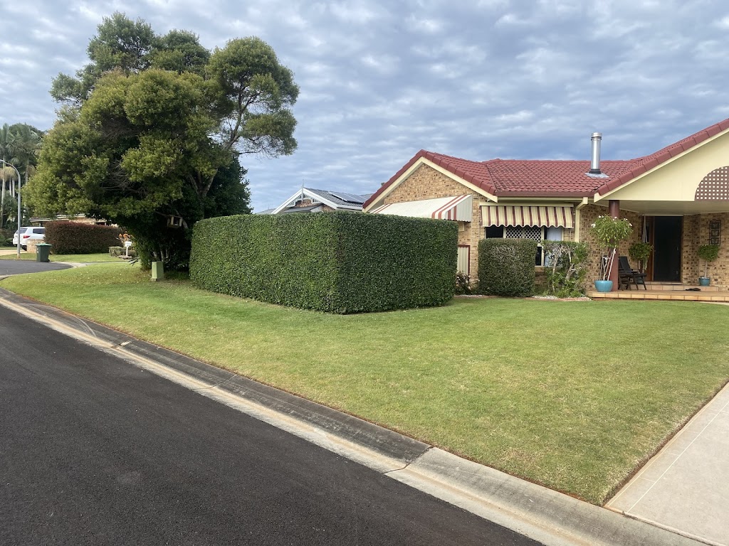 Plateau Grass & Gardens | 47 Alston Ave, Alstonville NSW 2477, Australia | Phone: 0405 108 238 Plateau Grass & Gardens | 47 Alston Ave, Alstonville NSW 2477, Australia | Phone: 0405 108 238