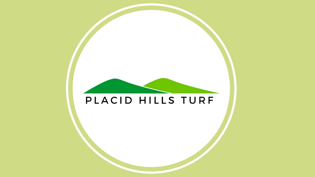 Placid Hills Turf | 1751 Gatton Helidon Rd, Helidon QLD 4344, Australia | Phone: 0436 007 686