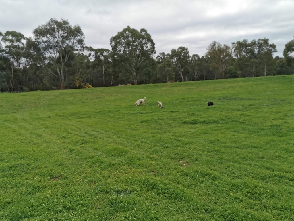 Banyule Flats Dog Run | Viewbank VIC 3084, Australia