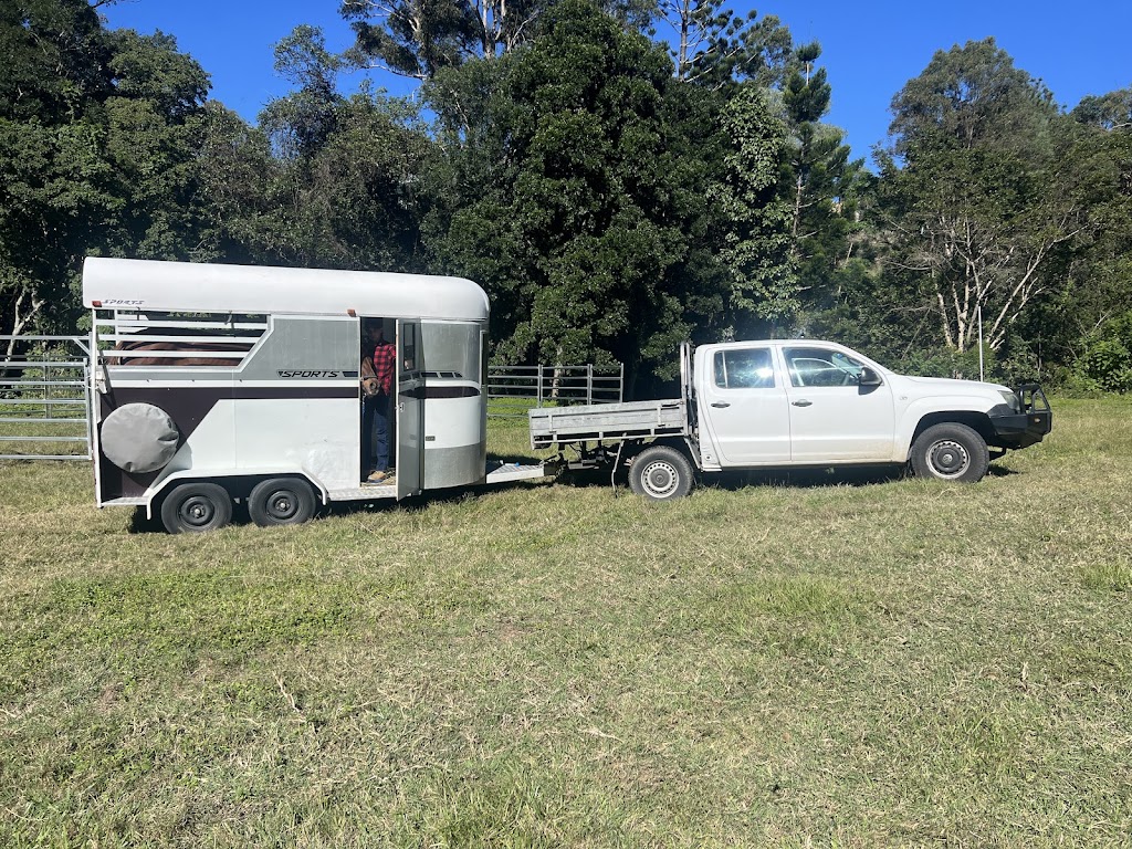Lone Star Hire - Samford Valley | 147 Betts Rd, Camp Mountain QLD 4520, Australia | Phone: 0418 238 005
