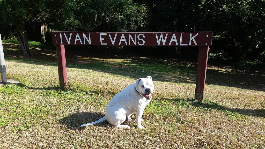 Ivan Evans Walk | Ellen Cl, Bayview Heights QLD 4868, Australia | Phone: (07) 4044 3044