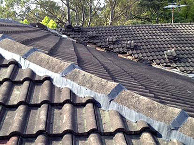 APEX ROOF & GUTTER MAINTENANCE - Repairs, Replacement, Roof Rest | roofing contractor | Servicing Manly, Beacon Hill, Dee Why, Brookvale, Curl Curl, Collaroy, Seaforth, Forestville, Belrose, Lindfield, Roseville, Narrabeen, Mona Vale, Warriewood, Newport, Avalon, Chatswood, Killarney Heights, Frenchs Forest NSW 2086, Australia | 0423005560 OR +61 423 005 560