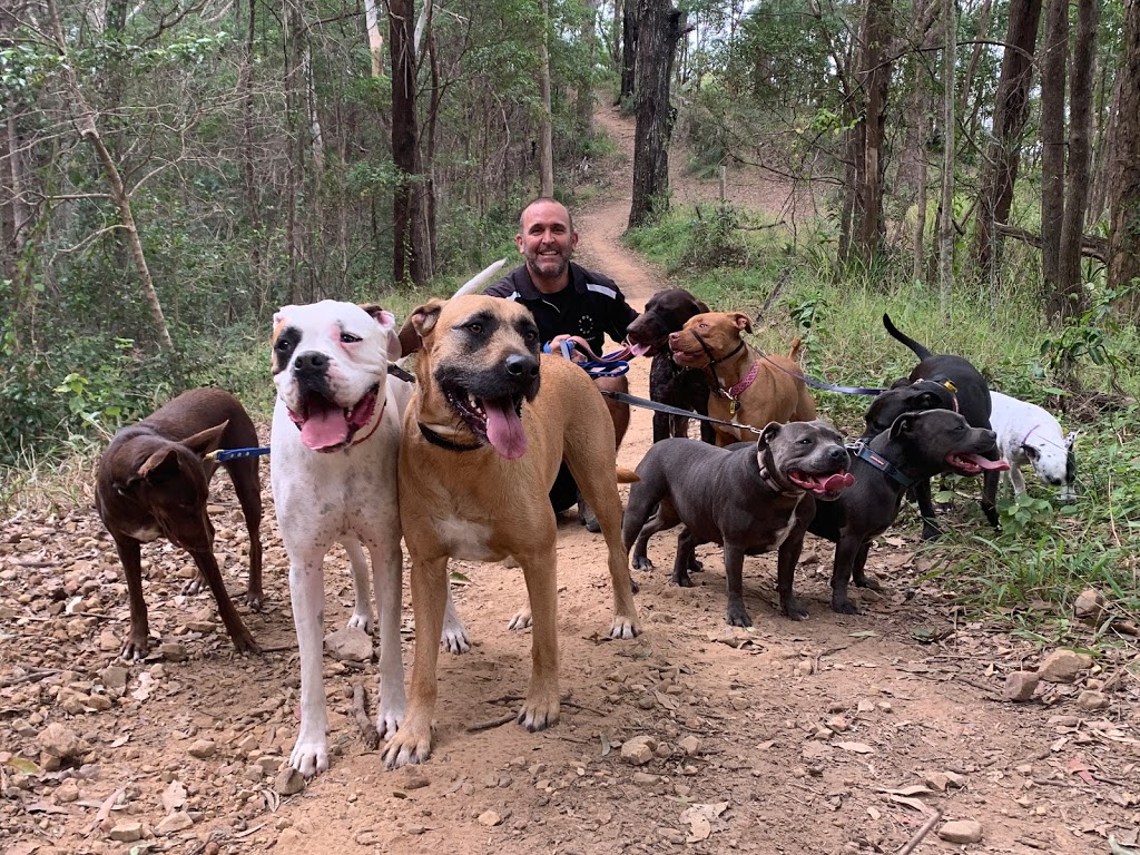 Training Four Paws | 59 Aylesham Dr, Bonogin QLD 4213, Australia | Phone: 0412 415 000