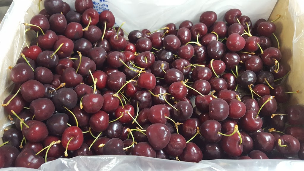 Cowlings Cherries | 333 Old Norton Summit Rd, Norton Summit SA 5136, Australia | Phone: (08) 8390 1657