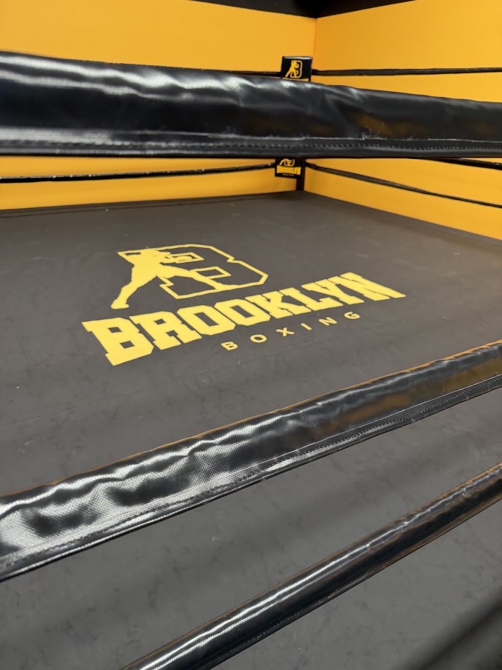 Brooklyn Boxing Lara | 3/146-150 McClelland Ave, Lara VIC 3212, Australia | Phone: 0434 113 113