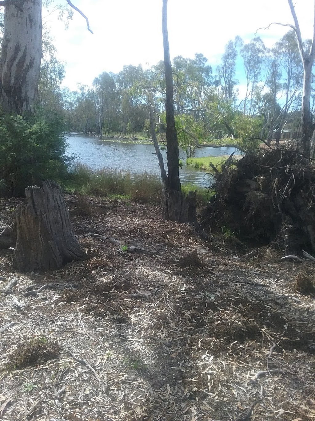 Gorman Park | Unnamed Road, Mulwala NSW 2647, Australia