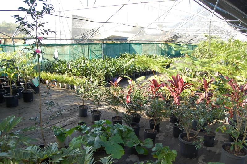 PowderWorks Nursery |  | Lot 20 Wilson Ave, Elanora Heights NSW 2101, Australia | 0414392999 OR +61 414 392 999