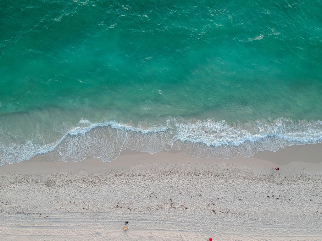 Animal Exercise Beach | Hillarys WA 6025, Australia