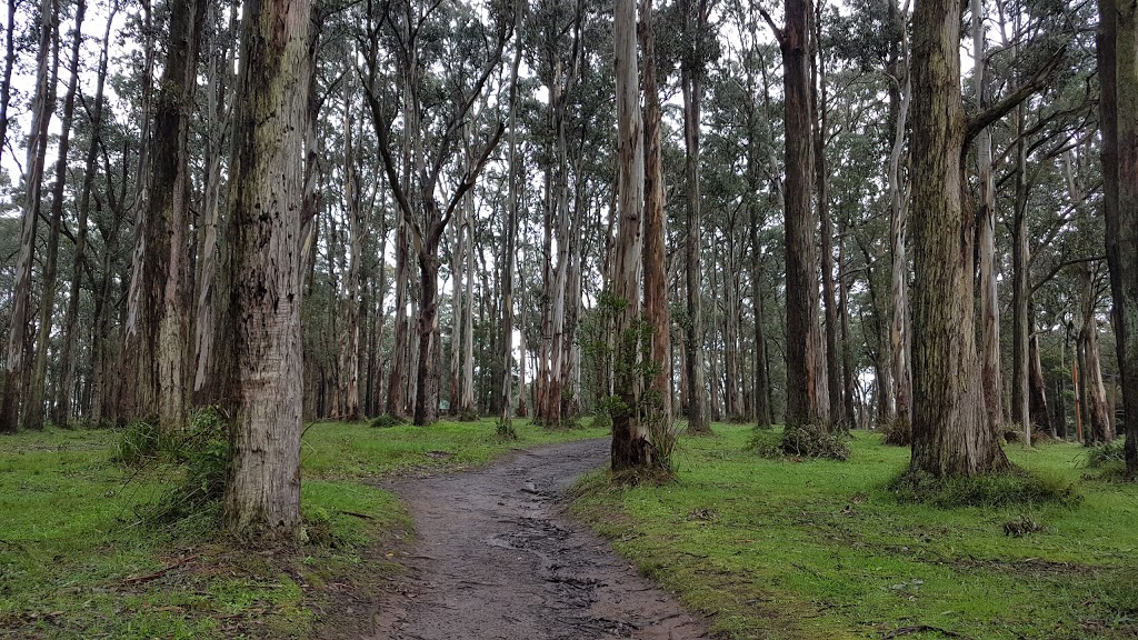 One Tree Hill Picnic Ground | park | Lord Somers Rd, Tremont VIC 3785, Australia